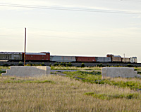 train